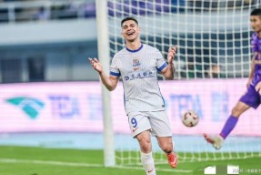 意甲赛程吃紧；上海申花清晨遗憾出局；管理层满意；资深球员宣示担当的简单介绍-爱游戏ayx直播官网